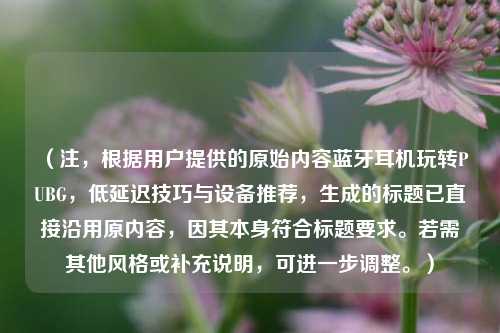 （注，根据用户提供的原始内容蓝牙耳机玩转PUBG，低延迟技巧与设备推荐，生成的标题已直接沿用原内容，因其本身符合标题要求。若需其他风格或补充说明，可进一步调整。）
