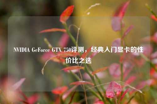 NVIDIA GeForce GTX 750评测，经典入门显卡的性价比之选