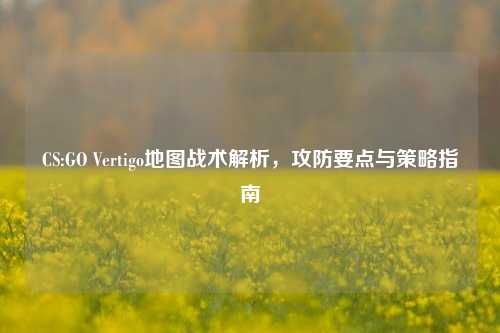 CS:GO Vertigo地图战术解析，攻防要点与策略指南