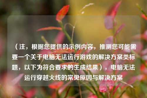 （注，根据您提供的示例内容，推测您可能需要一个关于电脑无法运行游戏的解决方案类标题，以下为符合要求的生成结果），电脑无法运行穿越火线的常见原因与解决方案