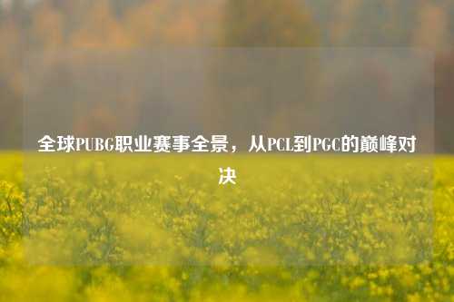 全球PUBG职业赛事全景，从PCL到PGC的巅峰对决