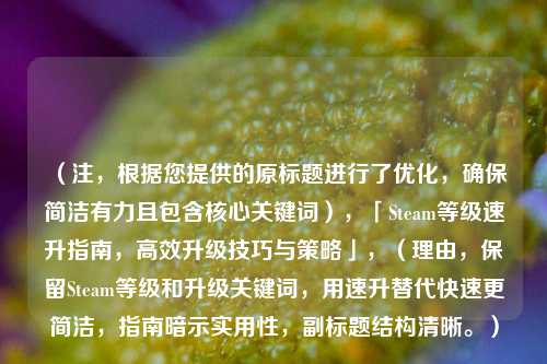 （注，根据您提供的原标题进行了优化，确保简洁有力且包含核心关键词），「Steam等级速升指南，高效升级技巧与策略」，（理由，保留Steam等级和升级关键词，用速升替代快速更简洁，指南暗示实用性，副标题结构清晰。）