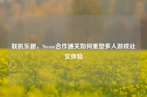 联机乐趣，Steam合作通关如何重塑多人游戏社交体验