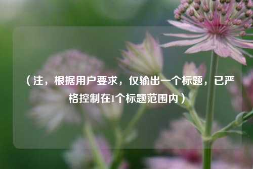 （注，根据用户要求，仅输出一个标题，已严格控制在1个标题范围内）