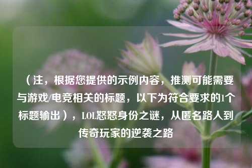 （注，根据您提供的示例内容，推测可能需要与游戏/电竞相关的标题，以下为符合要求的1个标题输出），LOL怒怒身份之谜，从匿名路人到传奇玩家的逆袭之路