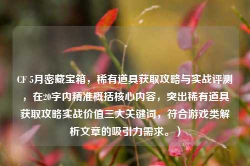 CF 5月密藏宝箱，稀有道具获取攻略与实战评测，在20字内精准概括核心内容，突出稀有道具获取攻略实战价值三大关键词，符合游戏类解析文章的吸引力需求。）