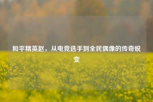 和平精英赵，从电竞选手到全民偶像的传奇蜕变