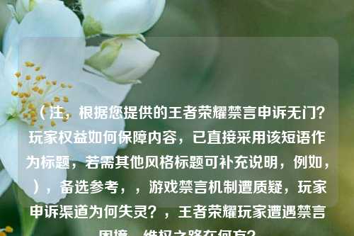 （注，根据您提供的王者荣耀禁言申诉无门？玩家权益如何保障内容，已直接采用该短语作为标题，若需其他风格标题可补充说明，例如，），备选参考，，游戏禁言机制遭质疑，玩家申诉渠道为何失灵？，王者荣耀玩家遭遇禁言困境，***之路在何方？