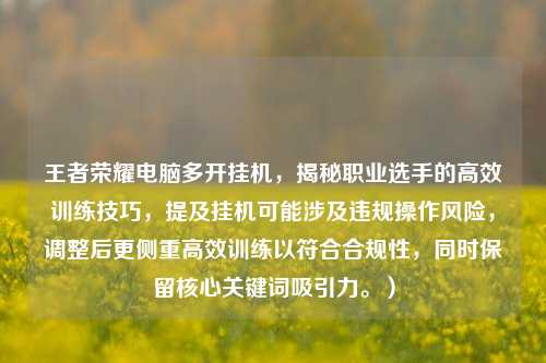 王者荣耀电脑多开挂机，揭秘职业选手的高效训练技巧，提及挂机可能涉及违规操作风险，调整后更侧重高效训练以符合合规性，同时保留核心关键词吸引力。）