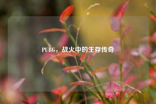PUBG，战火中的生存传奇
