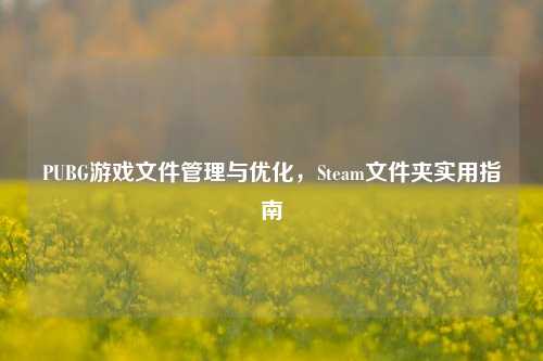 PUBG游戏文件管理与优化，Steam文件夹实用指南