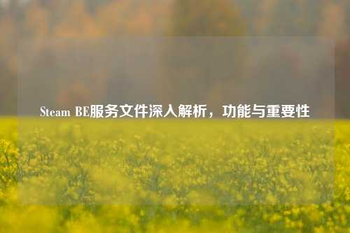 Steam BE服务文件深入解析，功能与重要性