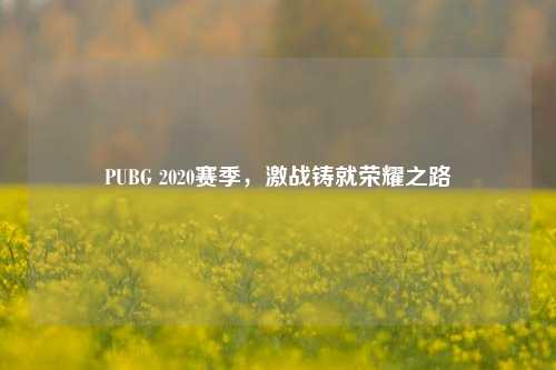 PUBG 2020赛季，激战铸就荣耀之路