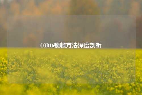 COD16锁帧 *** 深度剖析