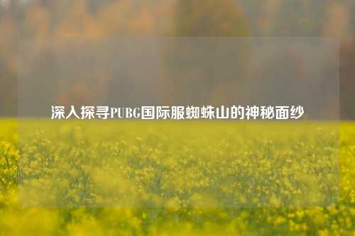 深入探寻PUBG国际服蜘蛛山的神秘面纱