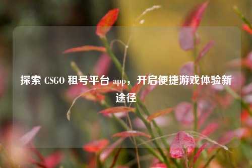 探索 CSGO 租号平台 app，开启便捷游戏体验新途径