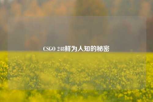 CSGO 248鲜为人知的秘密