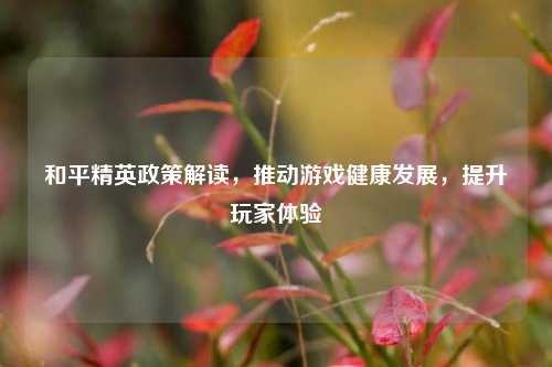 和平精英政策解读，推动游戏健康发展，提升玩家体验