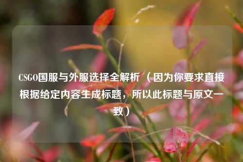 CSGO国服与外服选择全解析 （因为你要求直接根据给定内容生成标题，所以此标题与原文一致）