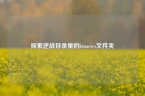 探索逆战目录里的binaries文件夹