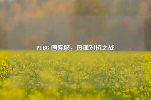 PUBG 国际服，热血对抗之战