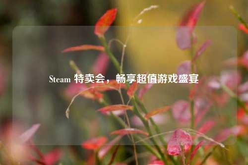 Steam 特卖会，畅享超值游戏盛宴