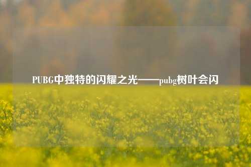 PUBG中独特的闪耀之光——pubg树叶会闪