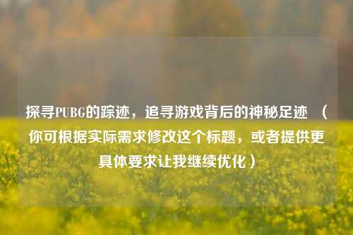 探寻PUBG的踪迹，追寻游戏背后的神秘足迹  （你可根据实际需求修改这个标题，或者提供更具体要求让我继续优化）