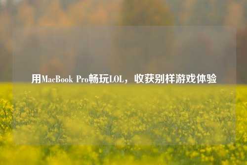 用MacBook Pro畅玩LOL，收获别样游戏体验