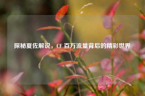 探秘夏佐解说，CF 百万流量背后的精彩世界
