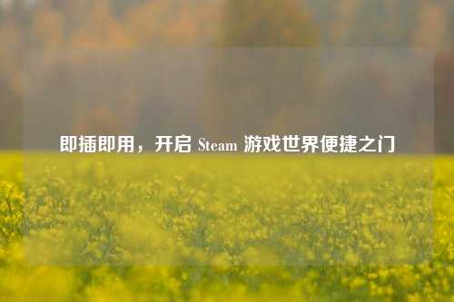 即插即用，开启 Steam 游戏世界便捷之门