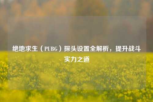 绝地求生（PUBG）探头设置全解析，提升战斗实力之道