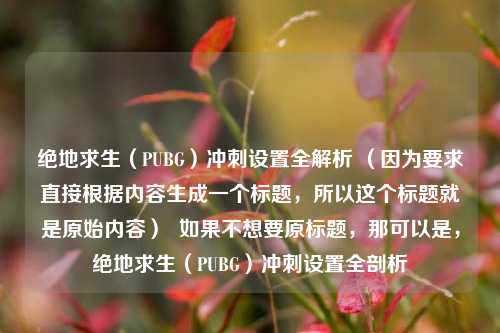 绝地求生（PUBG）冲刺设置全解析 （因为要求直接根据内容生成一个标题，所以这个标题就是原始内容）  如果不想要原标题，那可以是，绝地求生（PUBG）冲刺设置全剖析