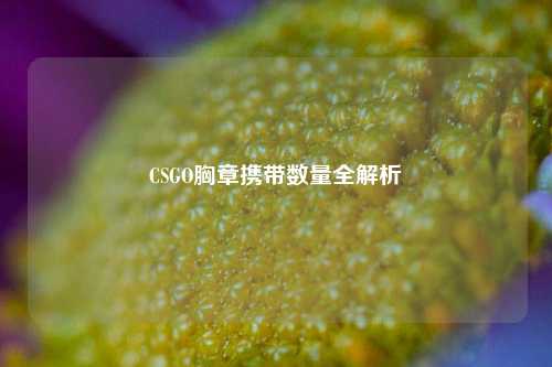 CSGO胸章携带数量全解析
