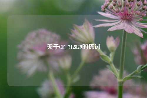 关于CF_712829的探讨