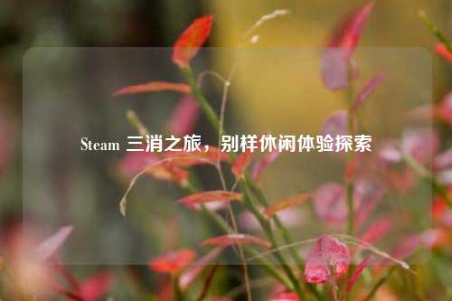 Steam 三消之旅，别样休闲体验探索