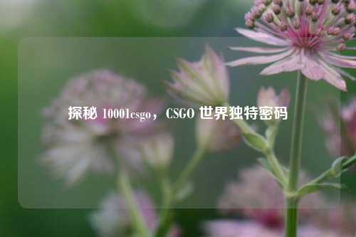 探秘 10001csgo，CSGO 世界独特密码