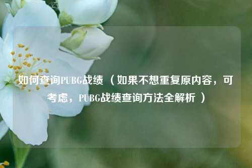 如何查询PUBG战绩 （如果不想重复原内容，可考虑，PUBG战绩查询 *** 全解析 ）