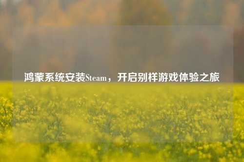 鸿蒙系统安装Steam，开启别样游戏体验之旅