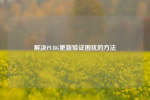解决PUBG更新验证困扰的 *** 