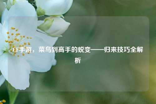 CF手游，菜鸟到高手的蜕变——归来技巧全解析