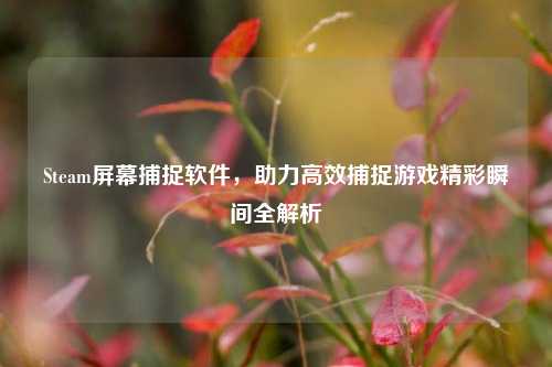 Steam屏幕捕捉软件，助力高效捕捉游戏精彩瞬间全解析