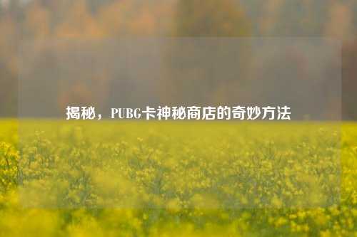 揭秘，PUBG卡神秘商店的奇妙 *** 
