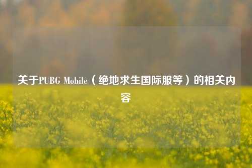 关于PUBG Mobile（绝地求生国际服等）的相关内容