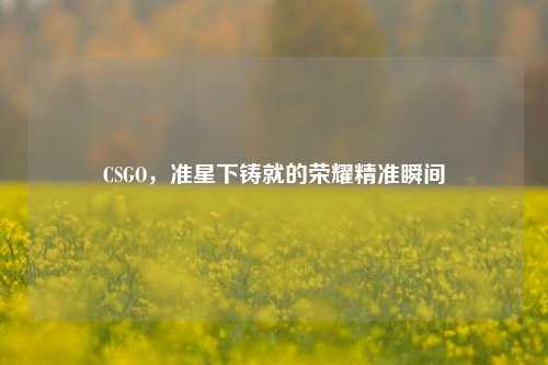 CSGO，准星下铸就的荣耀精准瞬间