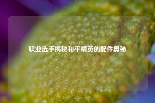 职业选手揭秘和平精英的配件奥秘