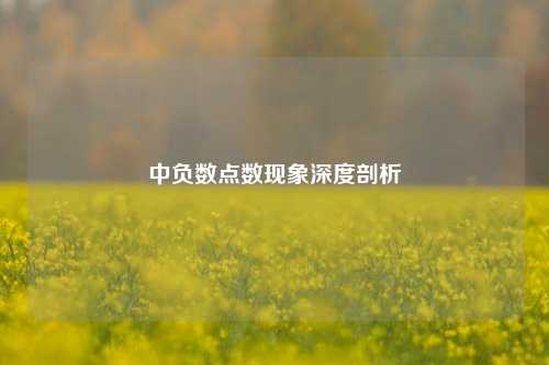 中负数点数现象深度剖析