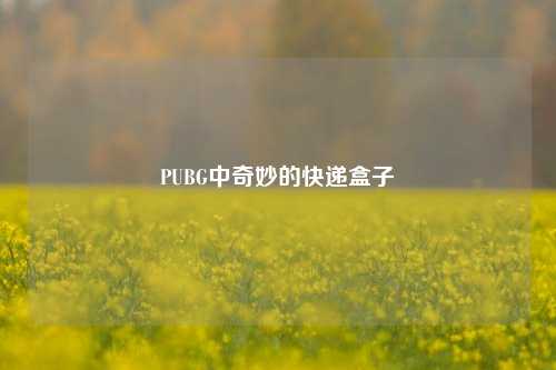 PUBG中奇妙的快递盒子