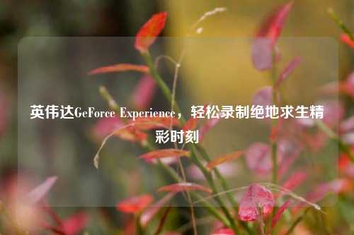 英伟达GeForce Experience，轻松录制绝地求生精彩时刻