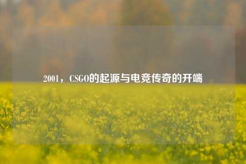 2001，CSGO的起源与电竞传奇的开端